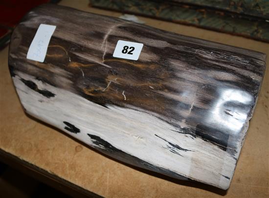 Sculpture of fossilised wood, Indonesian(-)
